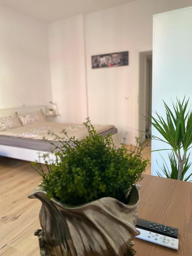 Pnt Home-Stilvolles Apartment Koblenz  Exteriör bild